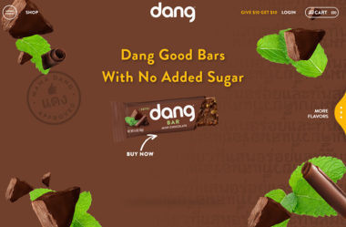 Dang Foods