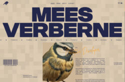 Mees Verberne