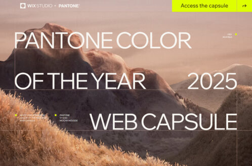 Wix Studio x Pantone Color of the Year 2025 Web Capsule