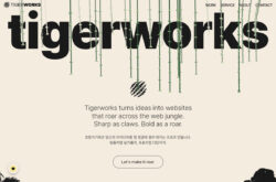 TIGERWORKS