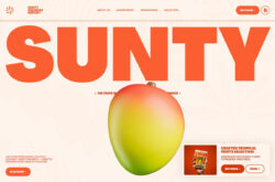 SUNTY