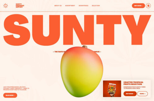 SUNTY