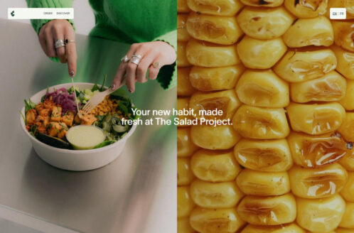 The Salad Project