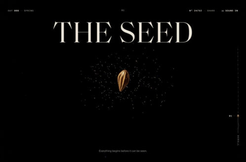 SEED — A Life Cycle